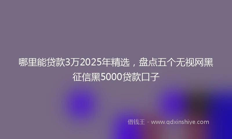 哪里能贷款3万2025年精选，盘点五个无视网黑征信黑5000贷款口子