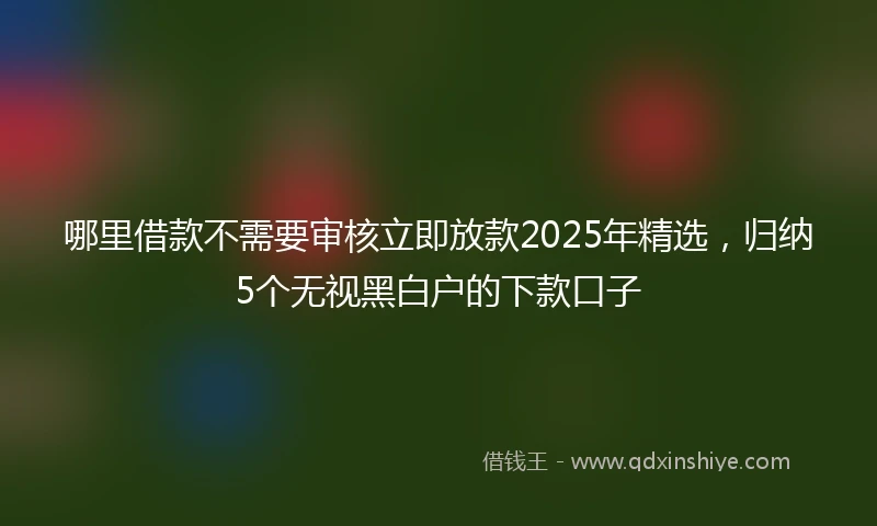 哪里借款不需要审核立即放款2025年精选，归纳5个无视黑白户的下款口子