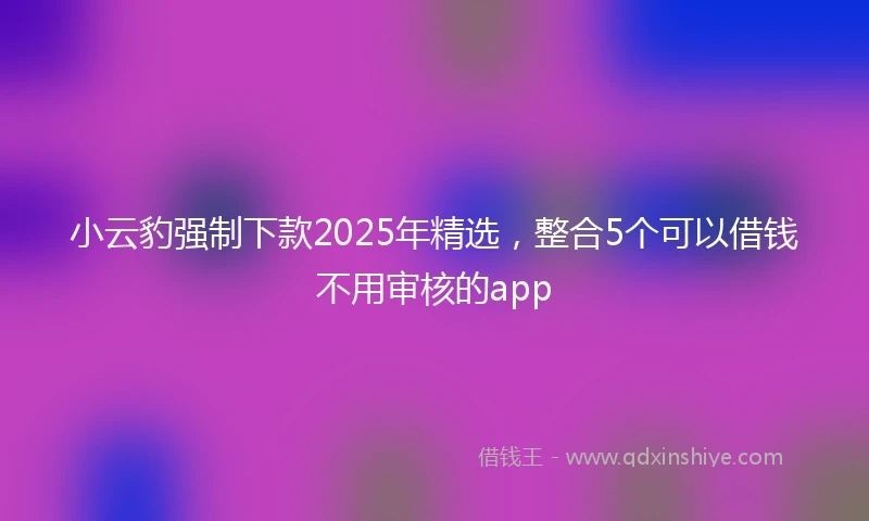 小云豹强制下款2025年精选，整合5个可以借钱不用审核的app