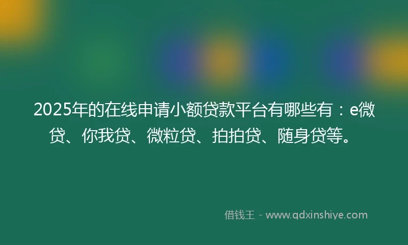 2025年的在线申请小额贷款平台有哪些有：e微贷、你我贷、微粒贷、拍拍贷、随身贷等。