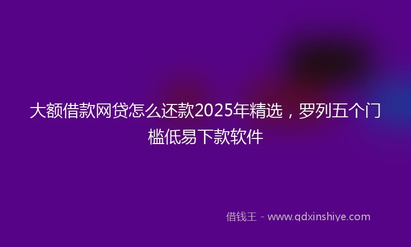 大额借款网贷怎么还款2025年精选，罗列五个门槛低易下款软件