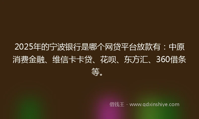 2025年的宁波银行是哪个网贷平台放款有：中原消费金融、维信卡卡贷、花呗、东方汇、360借条等。