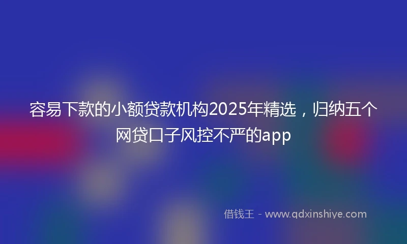 容易下款的小额贷款机构2025年精选，归纳五个网贷口子风控不严的app