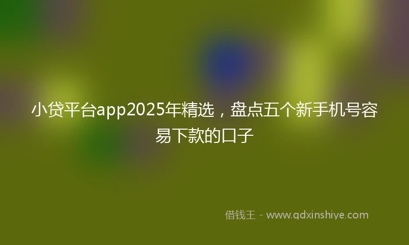 小贷平台app2025年精选，盘点五个新手机号容易下款的口子