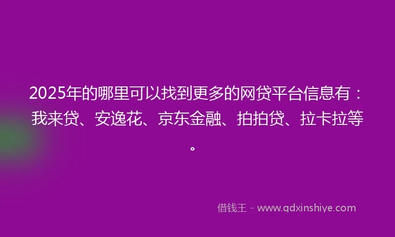 2025年的哪里可以找到更多的网贷平台信息有：我来贷、安逸花、京东金融、拍拍贷、拉卡拉等。