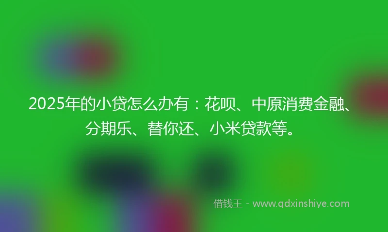 2025年的小贷怎么办有：花呗、中原消费金融、分期乐、替你还、小米贷款等。