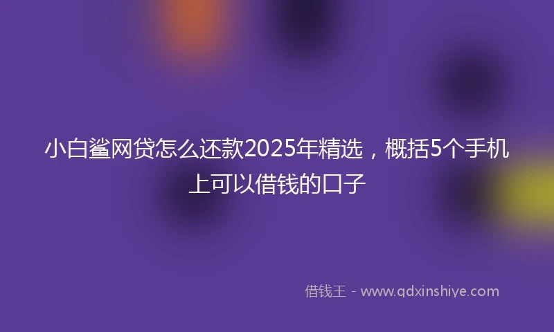 小白鲨网贷怎么还款2025年精选，概括5个手机上可以借钱的口子