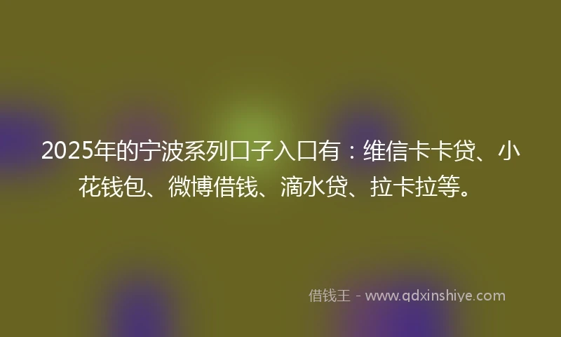 2025年的宁波系列口子入口有：维信卡卡贷、小花钱包、微博借钱、滴水贷、拉卡拉等。