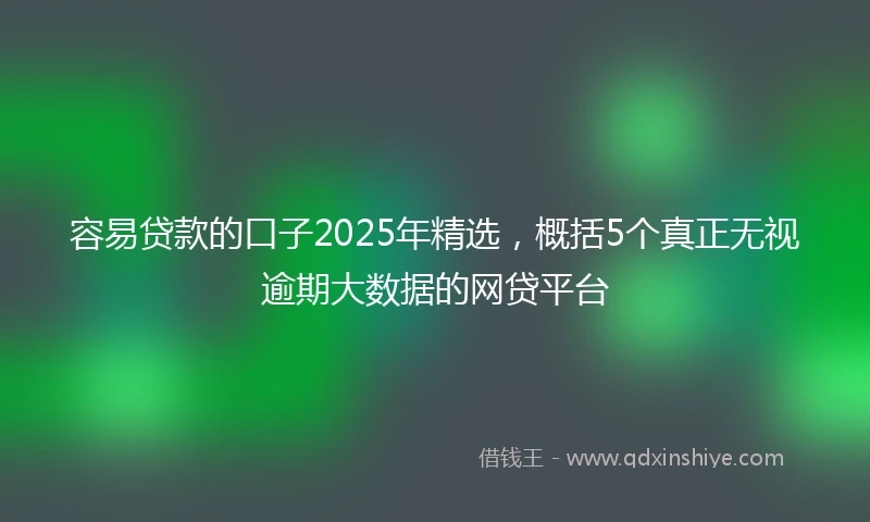 容易贷款的口子2025年精选，概括5个真正无视逾期大数据的网贷平台
