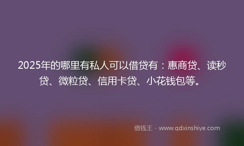 2025年的哪里有私人可以借贷有：惠商贷、读秒贷、微粒贷、信用卡贷、小花钱包等。
