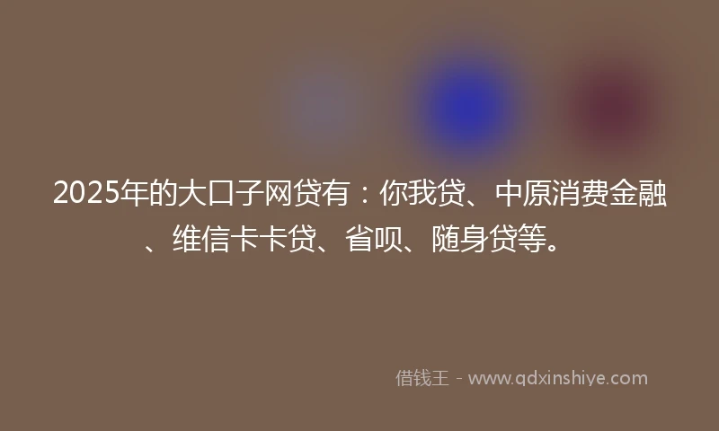 2025年的大口子网贷有：你我贷、中原消费金融、维信卡卡贷、省呗、随身贷等。