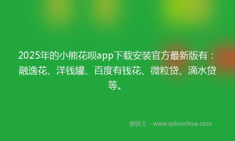 2025年的小熊花呗app下载安装官方最新版有：融逸花、洋钱罐、百度有钱花、微粒贷、滴水贷等。