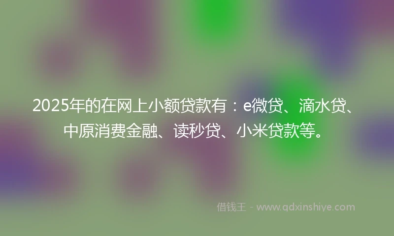 2025年的在网上小额贷款有：e微贷、滴水贷、中原消费金融、读秒贷、小米贷款等。