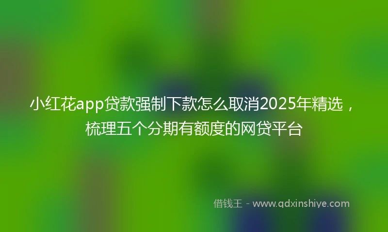 小红花app贷款强制下款怎么取消2025年精选，梳理五个分期有额度的网贷平台