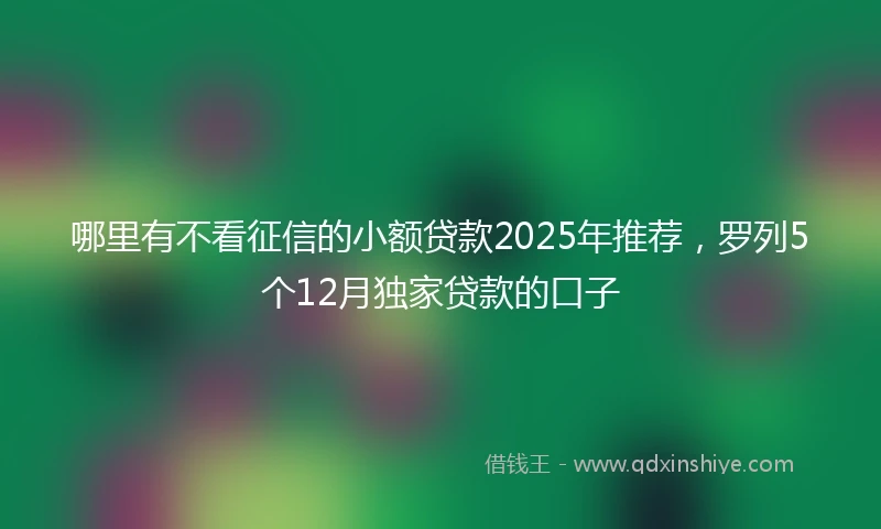 哪里有不看征信的小额贷款2025年推荐，罗列5个12月独家贷款的口子