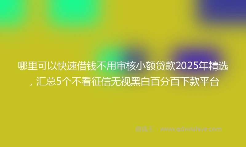 哪里可以快速借钱不用审核小额贷款2025年精选，汇总5个不看征信无视黑白百分百下款平台