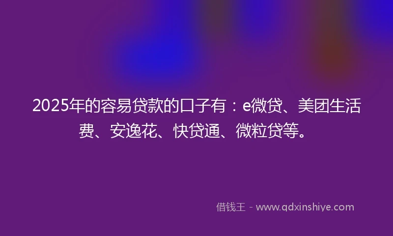 2025年的容易贷款的口子有：e微贷、美团生活费、安逸花、快贷通、微粒贷等。
