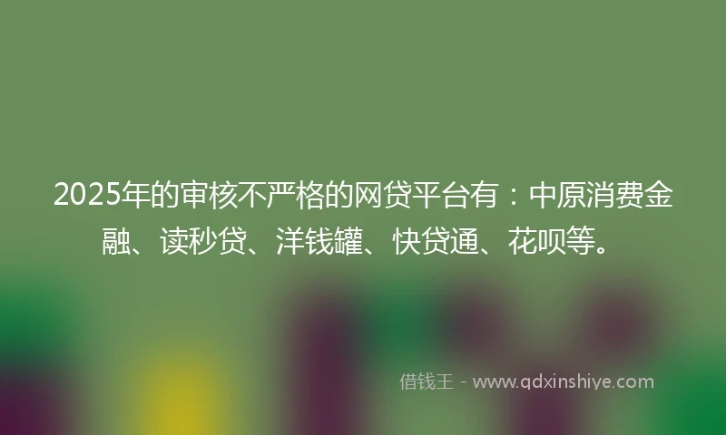 2025年的审核不严格的网贷平台有：中原消费金融、读秒贷、洋钱罐、快贷通、花呗等。