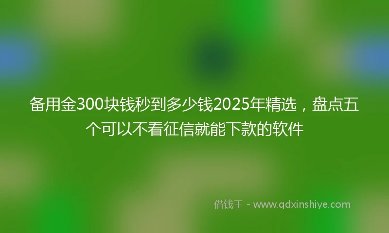 备用金300块钱秒到多少钱2025年精选，盘点五个可以不看征信就能下款的软件