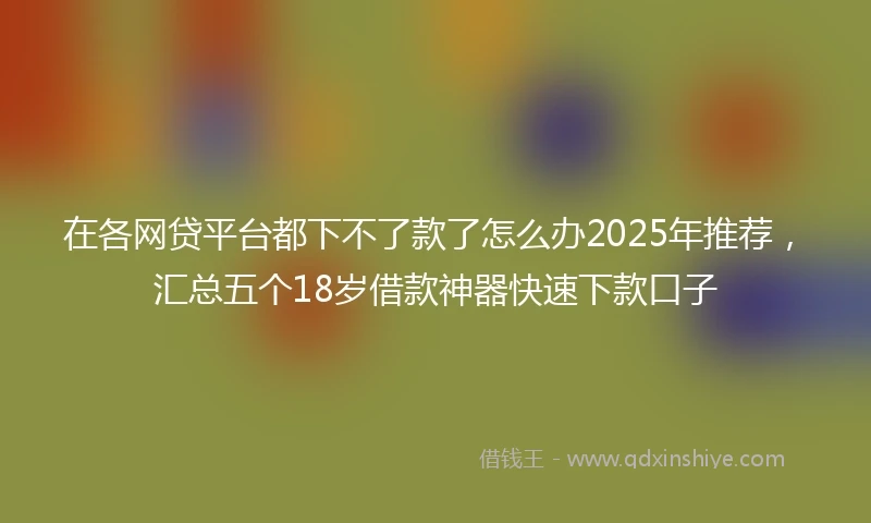 在各网贷平台都下不了款了怎么办2025年推荐，汇总五个18岁借款神器快速下款口子