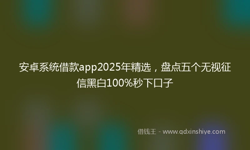 安卓系统借款app2025年精选，盘点五个无视征信黑白100%秒下口子