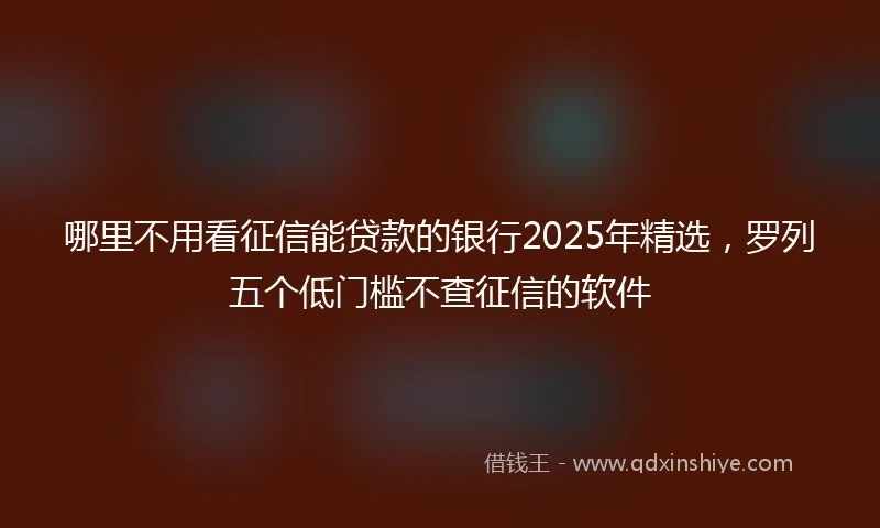 哪里不用看征信能贷款的银行2025年精选，罗列五个低门槛不查征信的软件