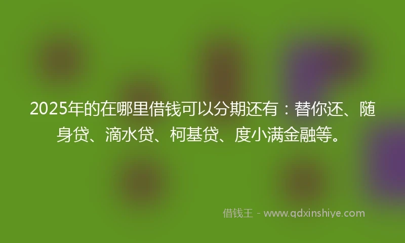 2025年的在哪里借钱可以分期还有：替你还、随身贷、滴水贷、柯基贷、度小满金融等。