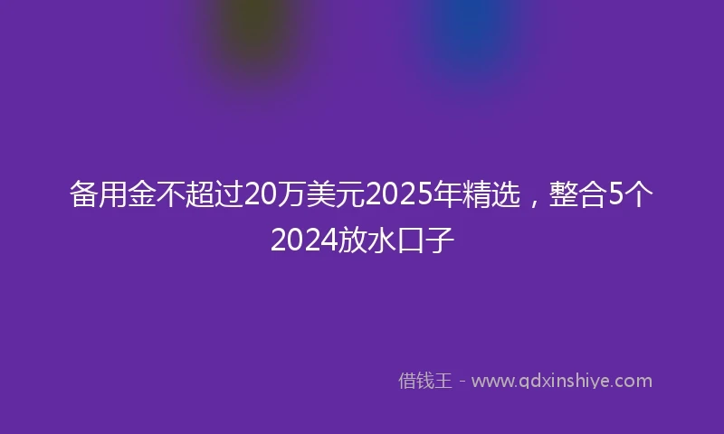 备用金不超过20万美元2025年精选，整合5个2024放水口子