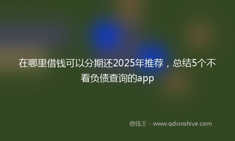 在哪里借钱可以分期还2025年推荐，总结5个不看负债查询的app