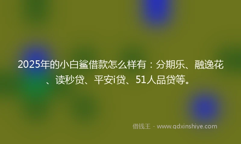 2025年的小白鲨借款怎么样有：分期乐、融逸花、读秒贷、平安i贷、51人品贷等。