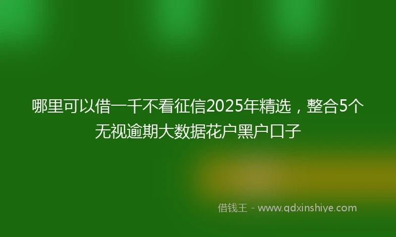 哪里可以借一千不看征信2025年精选，整合5个无视逾期大数据花户黑户口子