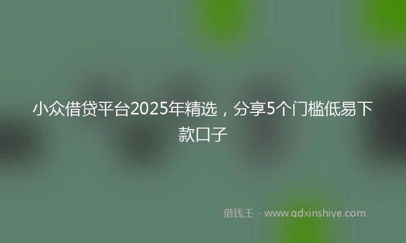 小众借贷平台2025年精选，分享5个门槛低易下款口子