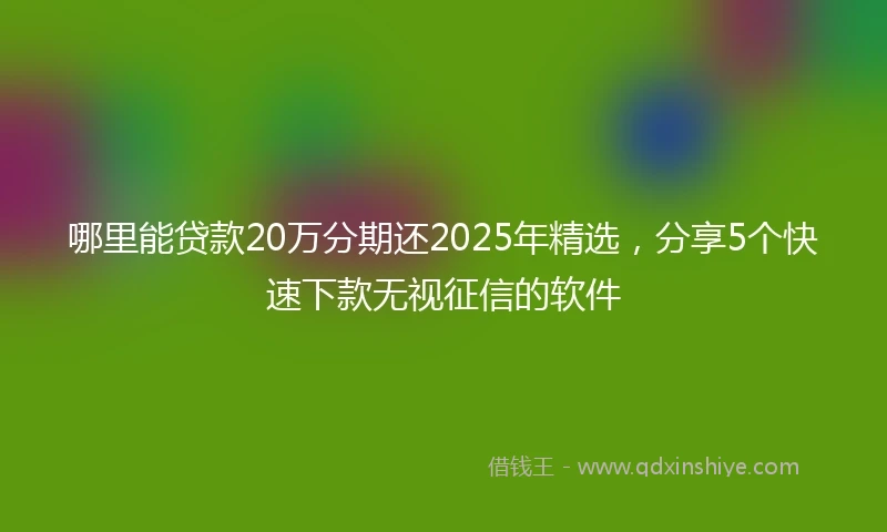 哪里能贷款20万分期还2025年精选，分享5个快速下款无视征信的软件