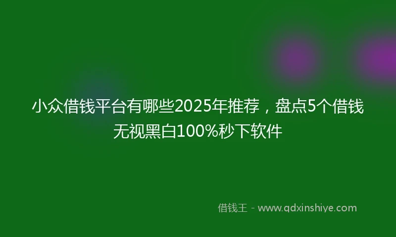 小众借钱平台有哪些2025年推荐，盘点5个借钱无视黑白100%秒下软件