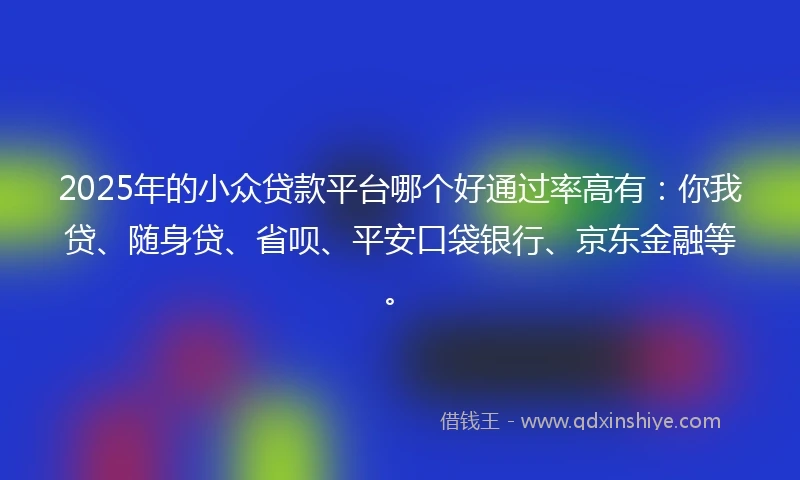 2025年的小众贷款平台哪个好通过率高有：你我贷、随身贷、省呗、平安口袋银行、京东金融等。