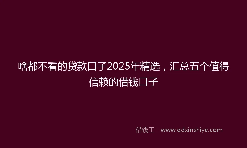 啥都不看的贷款口子2025年精选，汇总五个值得信赖的借钱口子