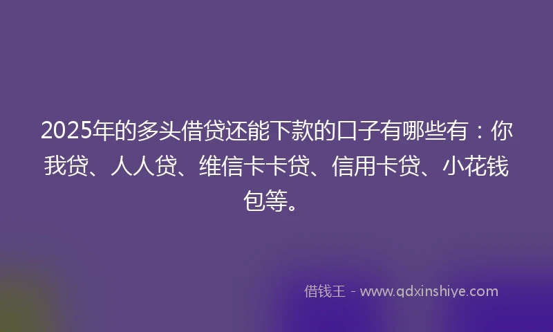 2025年的多头借贷还能下款的口子有哪些有：你我贷、人人贷、维信卡卡贷、信用卡贷、小花钱包等。