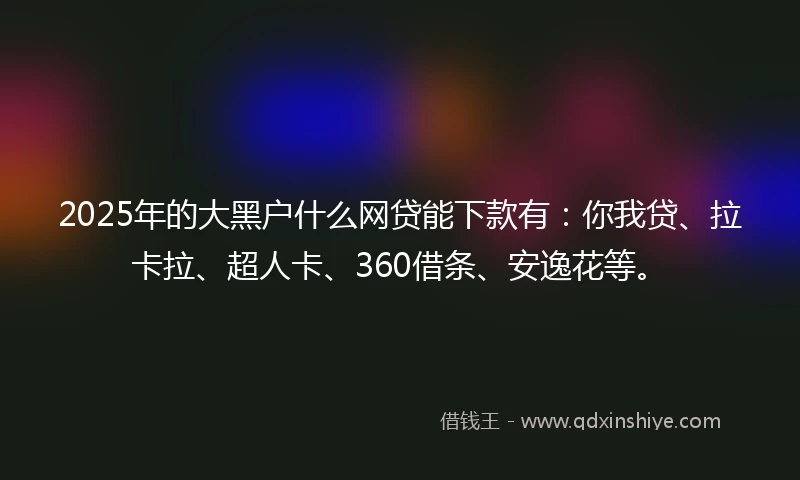 2025年的大黑户什么网贷能下款有：你我贷、拉卡拉、超人卡、360借条、安逸花等。
