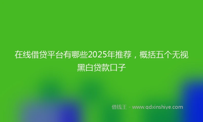 在线借贷平台有哪些2025年推荐，概括五个无视黑白贷款口子