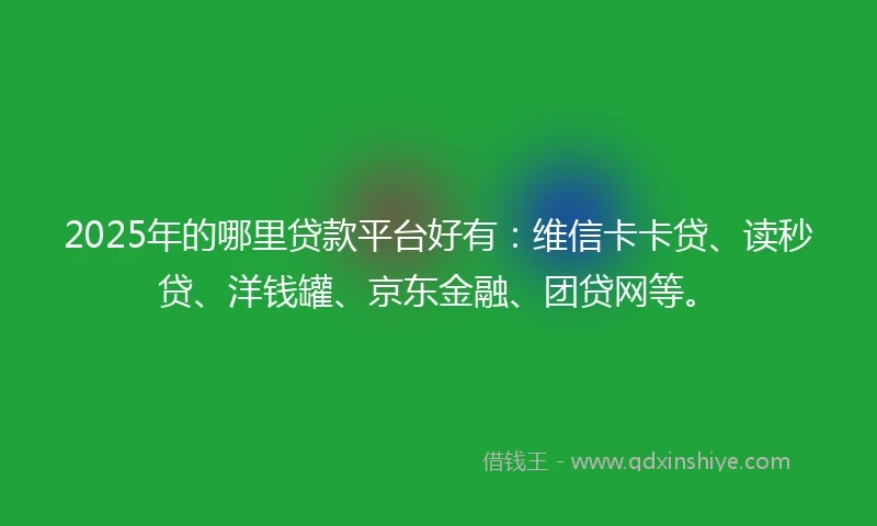 2025年的哪里贷款平台好有：维信卡卡贷、读秒贷、洋钱罐、京东金融、团贷网等。