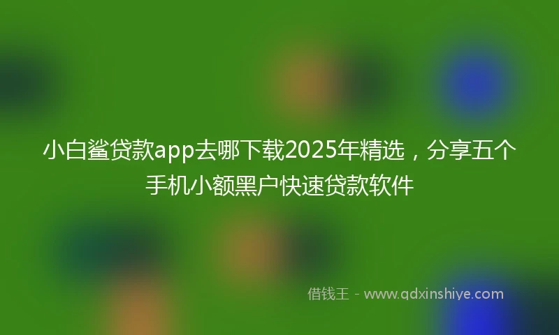 小白鲨贷款app去哪下载2025年精选，分享五个手机小额黑户快速贷款软件