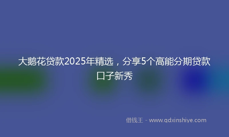大鹅花贷款2025年精选，分享5个高能分期贷款口子新秀