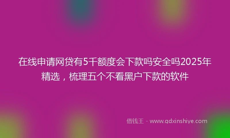 在线申请网贷有5千额度会下款吗安全吗2025年精选，梳理五个不看黑户下款的软件