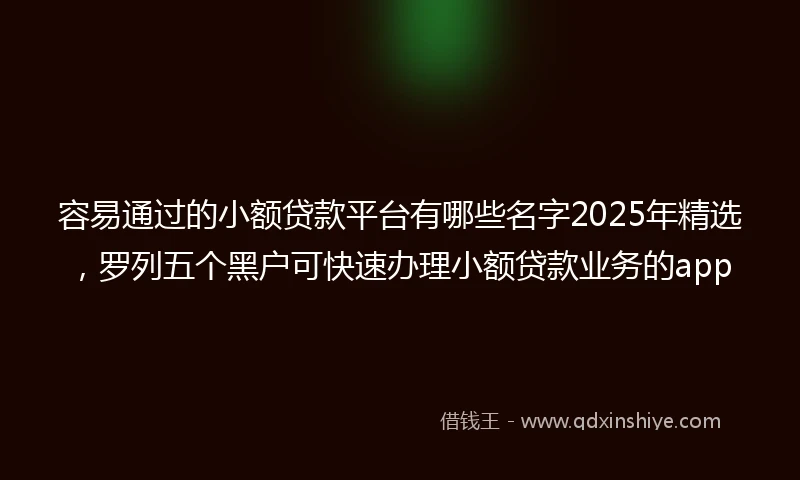 容易通过的小额贷款平台有哪些名字2025年精选，罗列五个黑户可快速办理小额贷款业务的app
