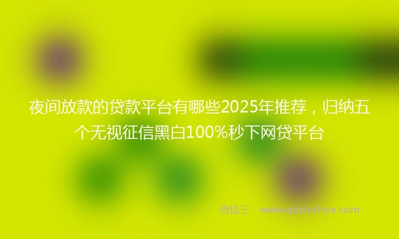 夜间放款的贷款平台有哪些2025年推荐，归纳五个无视征信黑白100%秒下网贷平台
