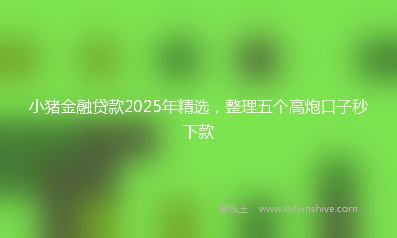 小猪金融贷款2025年精选，整理五个高炮口子秒下款