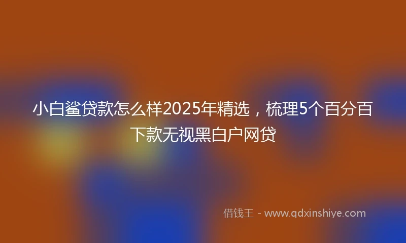 小白鲨贷款怎么样2025年精选，梳理5个百分百下款无视黑白户网贷
