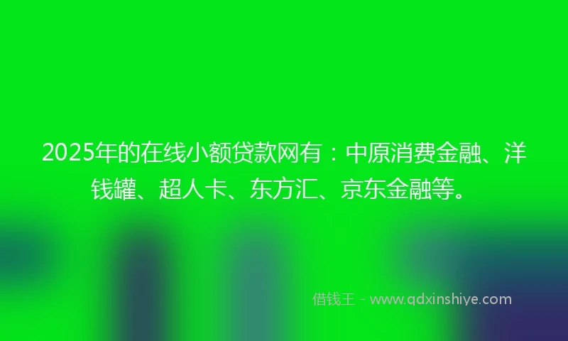2025年的在线小额贷款网有：中原消费金融、洋钱罐、超人卡、东方汇、京东金融等。