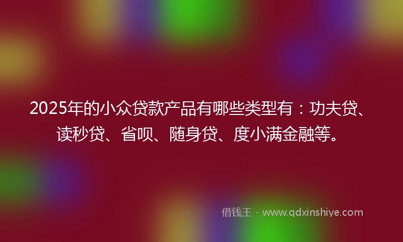 2025年的小众贷款产品有哪些类型有：功夫贷、读秒贷、省呗、随身贷、度小满金融等。