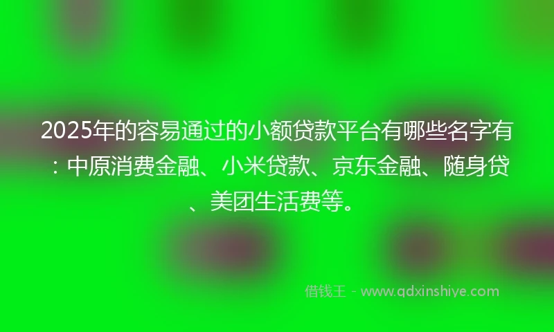 2025年的容易通过的小额贷款平台有哪些名字有：中原消费金融、小米贷款、京东金融、随身贷、美团生活费等。